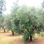 Frühstückspension Tenuta Bardi Villa Baldassarri