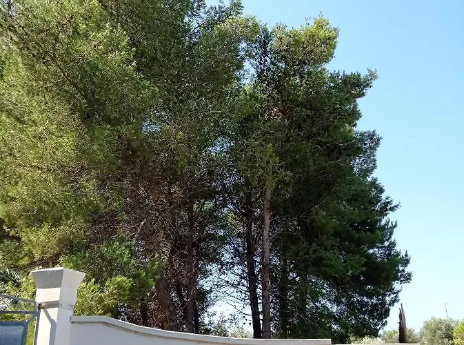 Frühstückspension Tenuta Bardi